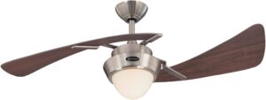 Westinghouse 2 Blade Ceiling Fan 7231100 With Light Review