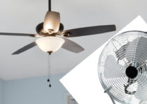 Ceiling Fan vs Standing Fan – Which is Better?