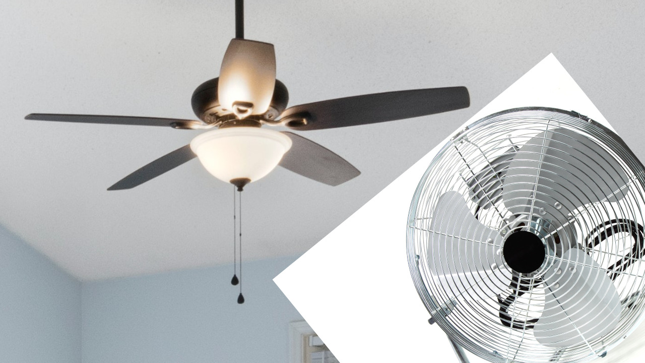 ceiling fan vs standing fan