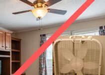 Ceiling Fan or Box Fan – Which Is Better For You?