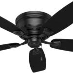 Hunter Fan Company 53118 Hunter 48 inch Sea Wind Indoor Outdoor Low Profile Ceiling Fan, Matte Black Finish