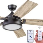 Prominence Home 51639-01 Potomac Smart Ceiling Fan