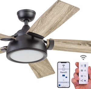 Prominence Home 51639-01 Potomac Smart Ceiling Fan